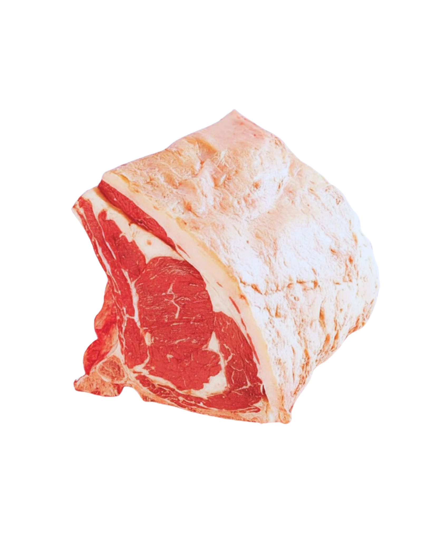 骨付リブ x 1 ブロック 5kg前後 / Bife Ancho en Bloque x 5kg